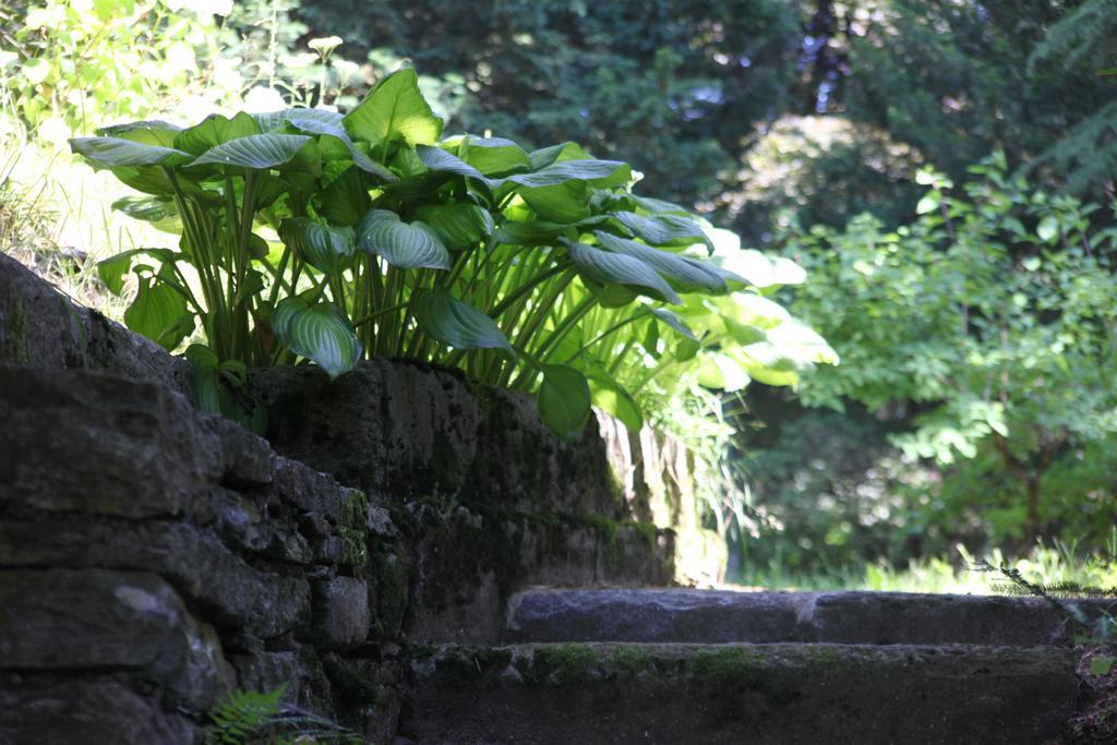 Villa Emilia Craveggia Exterior foto